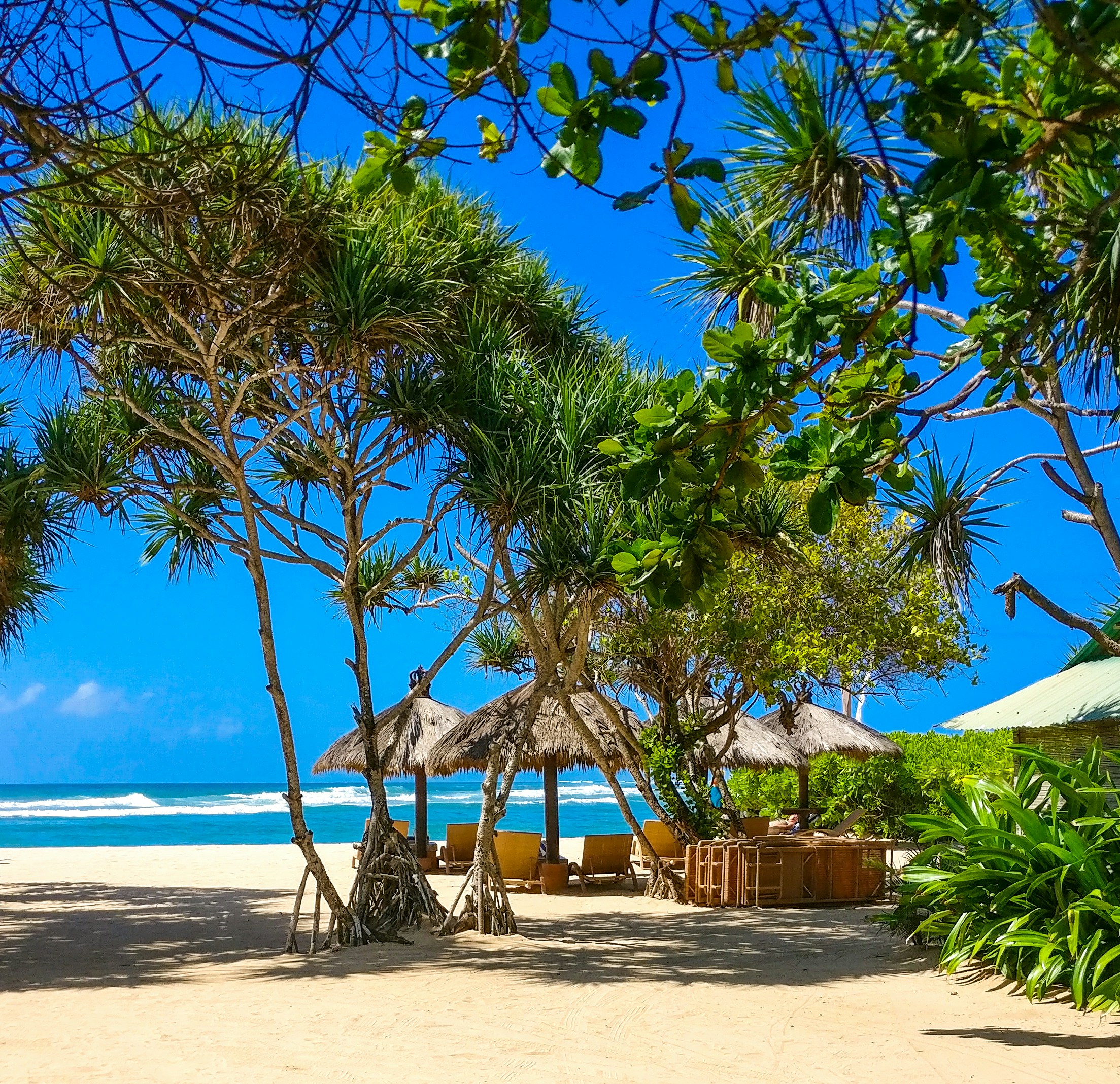Thatched umbrellas and sun loungers on a Bali beach