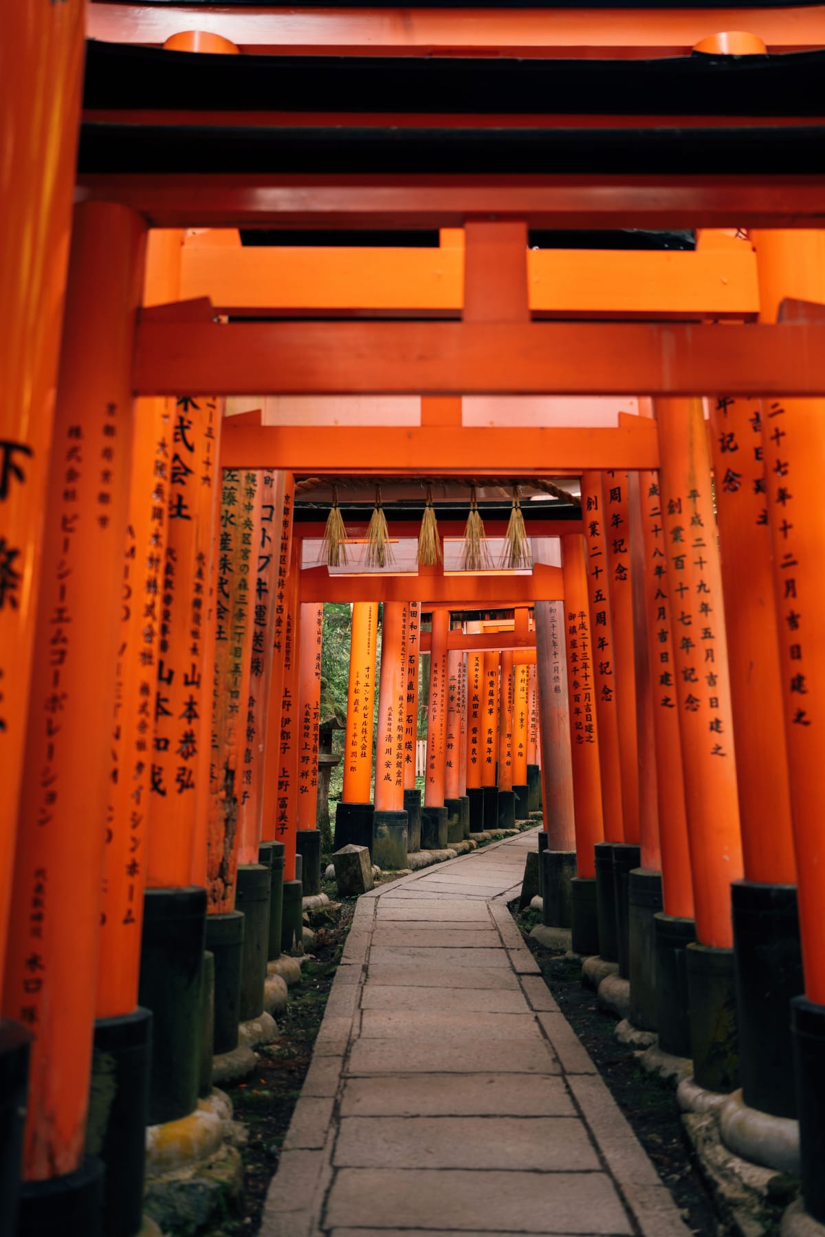 A tunnel of vermilion torii gates at Fushimi Inari Shrine, Kyoto